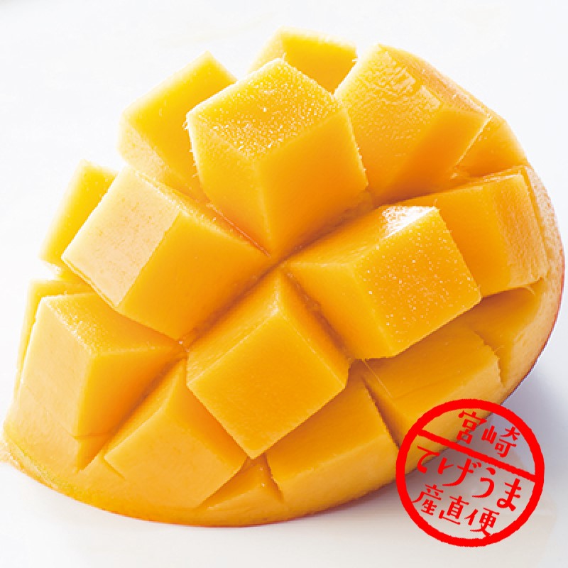 宮崎マンゴー マンゴー みやざき完熟マンゴー 赤秀 4Lサイズ 500g以上×2玉