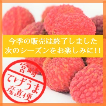 【希少品・季節限定】 生ライチ　500g　専用化粧箱