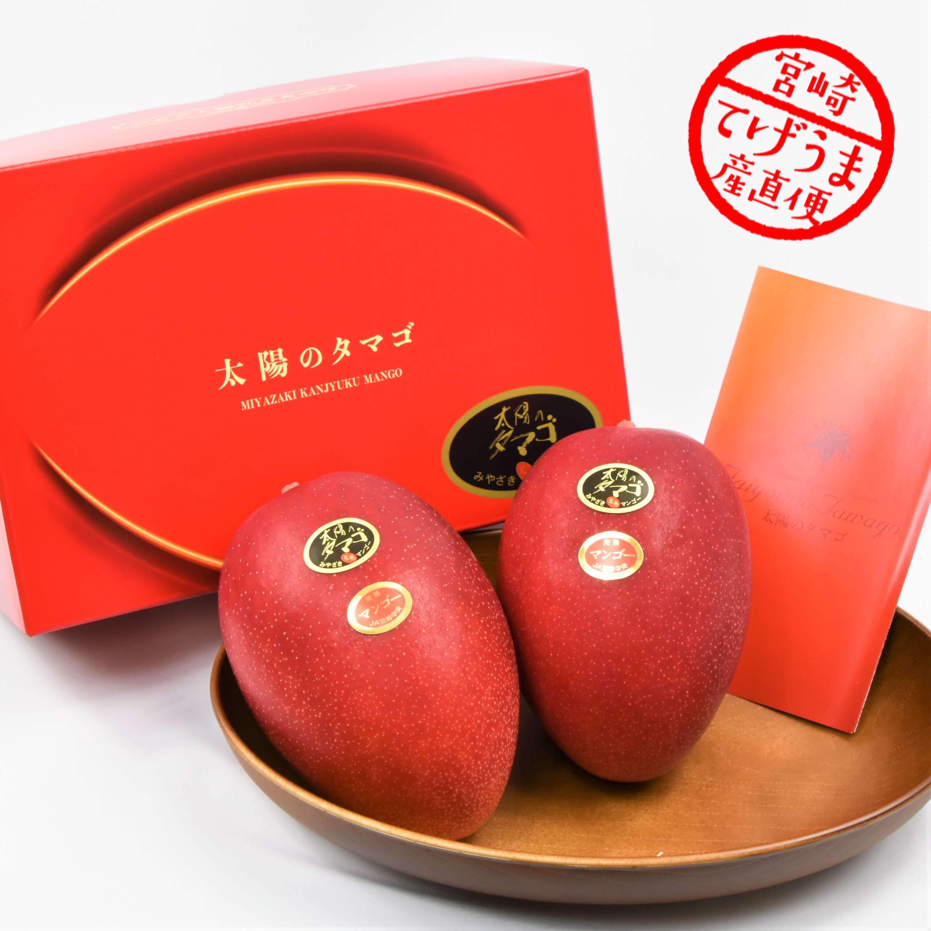 限定1箱！宮崎産【太陽のタマゴ】特大3L 2個入　即日発送！！！ 2026年5月分予約 全額返金太陽のタマゴ 1〜3玉 2L 3L 4L